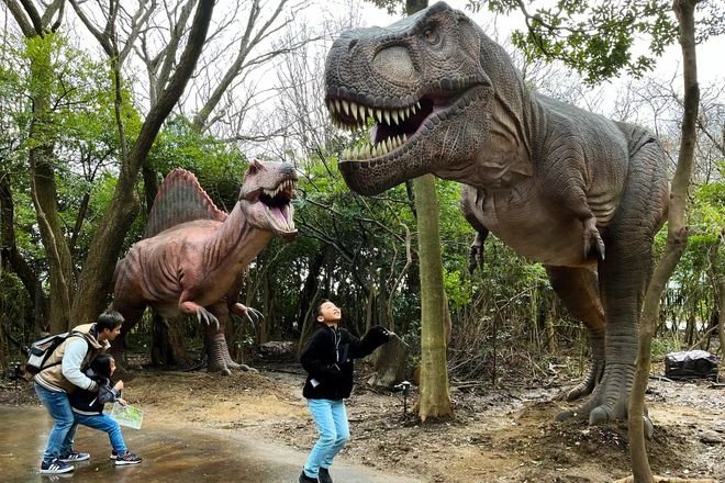 🎡 시바마사 월드 이미지 4